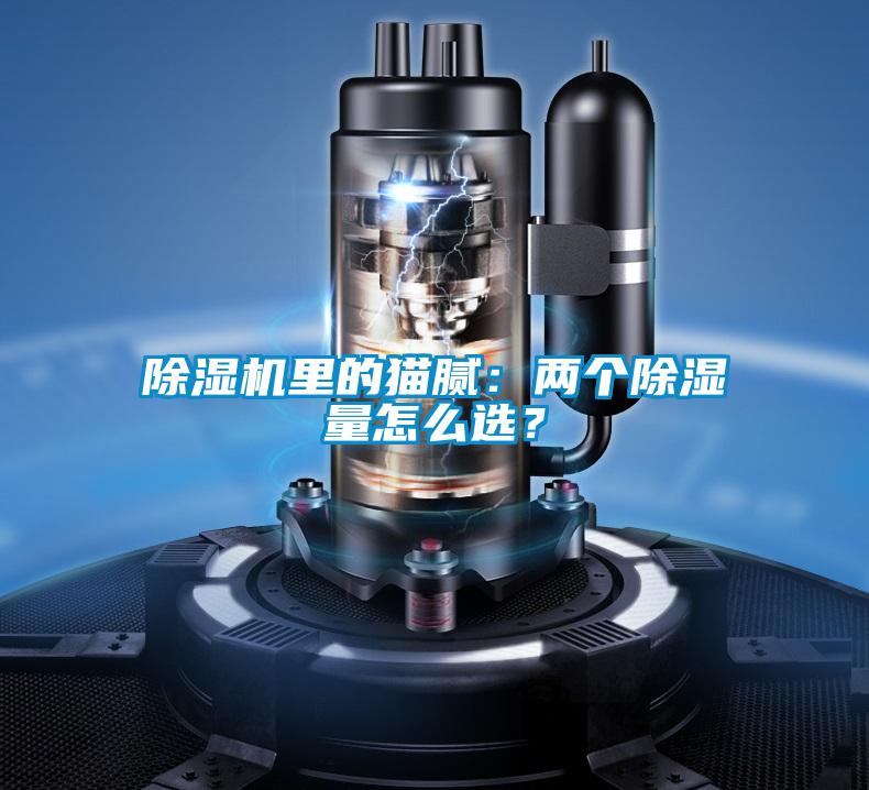 除湿机里的猫腻：两个除湿量怎么??？