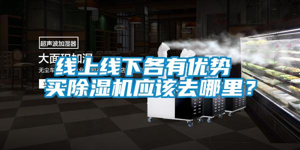 线上线下各有优势 买除湿机应该去哪里？