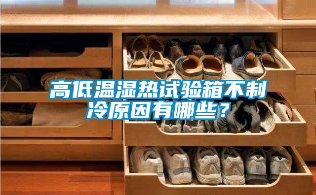 高低温湿热试验箱不制冷原因有哪些？