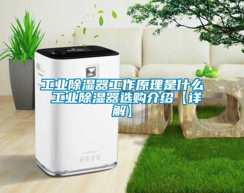 工业除湿器工作原理是什么 工业除湿器选购介绍【详解】