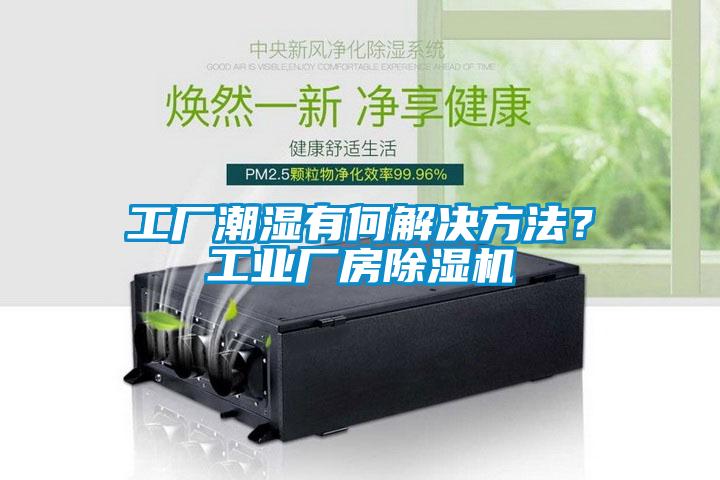 工厂潮湿有何解决方法？工业厂房除湿机