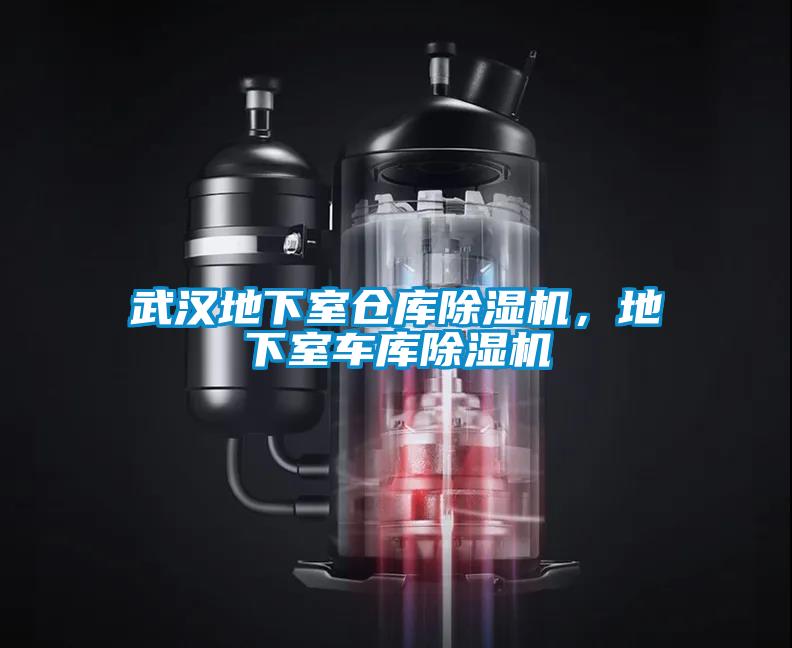 武汉地下室仓库除湿机，地下室车库除湿机