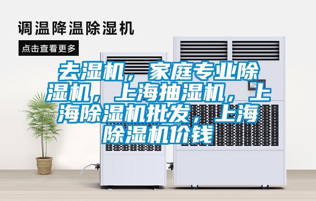 去湿机，家庭专业除湿机，上海抽湿机，上海除湿机批发，上海除湿机价钱