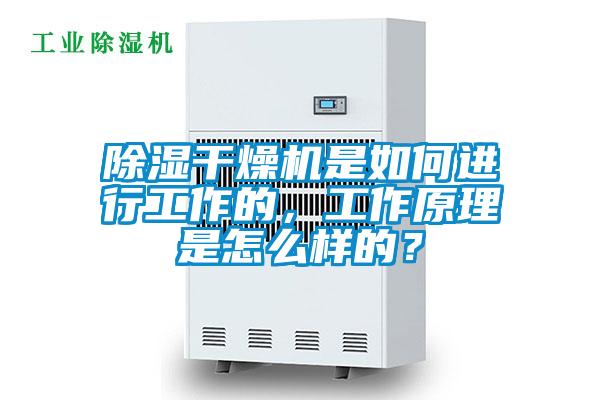 除湿干燥机是如何进行工作的，工作原理是怎么样的？