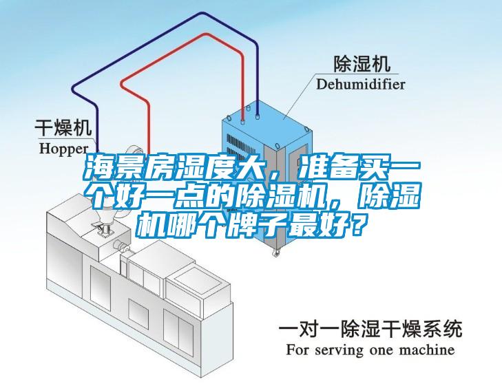 海景房湿度大，准备买一个好一点的除湿机，除湿机哪个牌子最好？