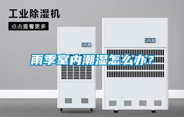 雨季室内潮湿怎么办？