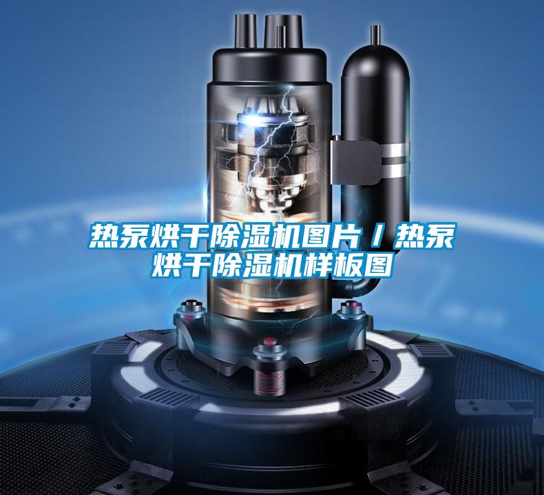 热泵烘干除湿机图片／热泵烘干除湿机样板图