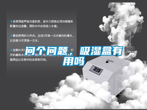 问个问题，吸湿盒有用吗