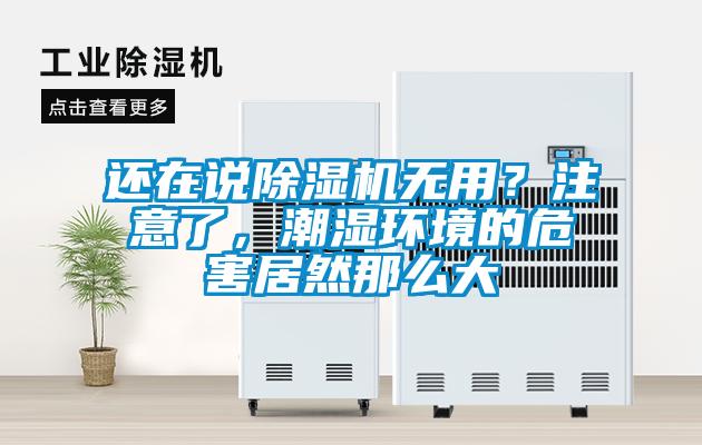 还在说除湿机无用？注意了，潮湿环境的危害居然那么大