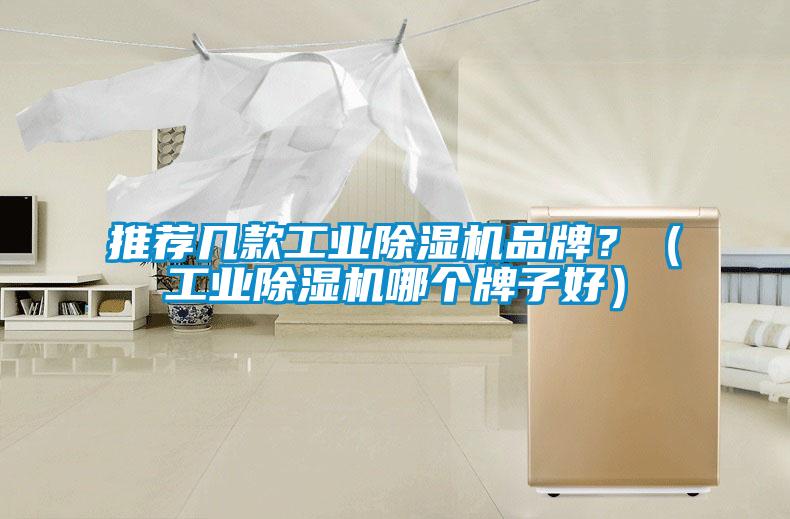 推荐几款工业除湿机品牌？（工业除湿机哪个牌子好）