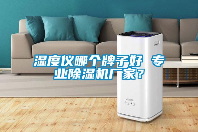 湿度仪哪个牌子好 专业除湿机厂家？
