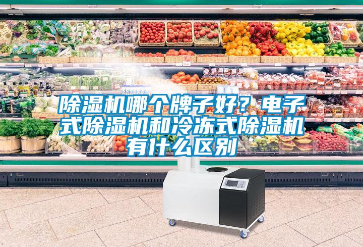 除湿机哪个牌子好？电子式除湿机和冷冻式除湿机有什么区别