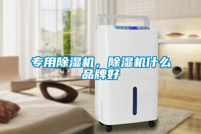 专用除湿机，除湿机什么品牌好