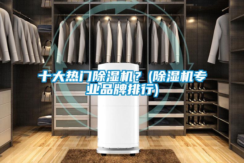 十大熱門除濕機？(除濕機專業(yè)品牌排行)