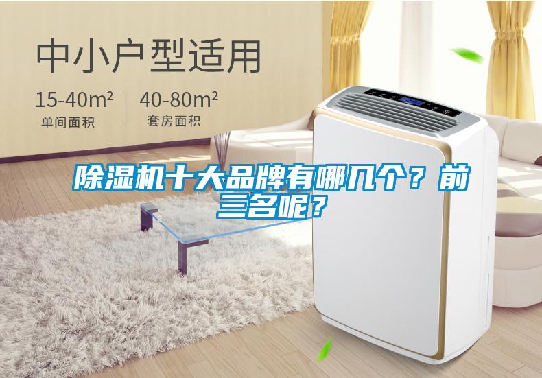 除湿机十大品牌有哪几个？前三名呢？