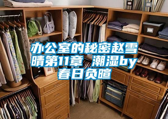 办公室的秘密赵雪晴第11章 潮湿by春日负暄