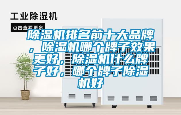 除湿机排名前十大品牌，除湿机哪个牌子效果更好，除湿机什么牌子好，哪个牌子除湿机好