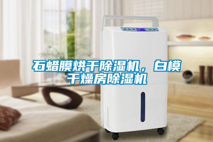 石蜡膜烘干除湿机，白模干燥房除湿机