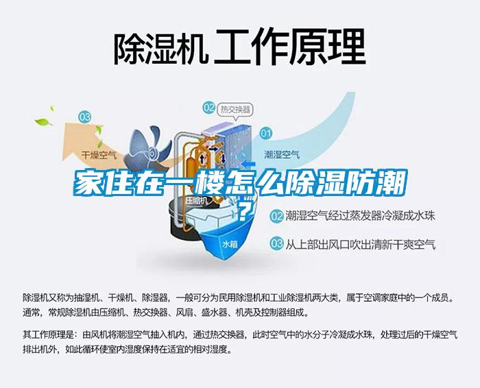 家住在一楼怎么除湿防潮？