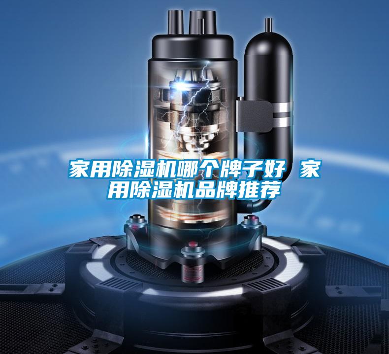 家用除湿机哪个牌子好 家用除湿机品牌推荐