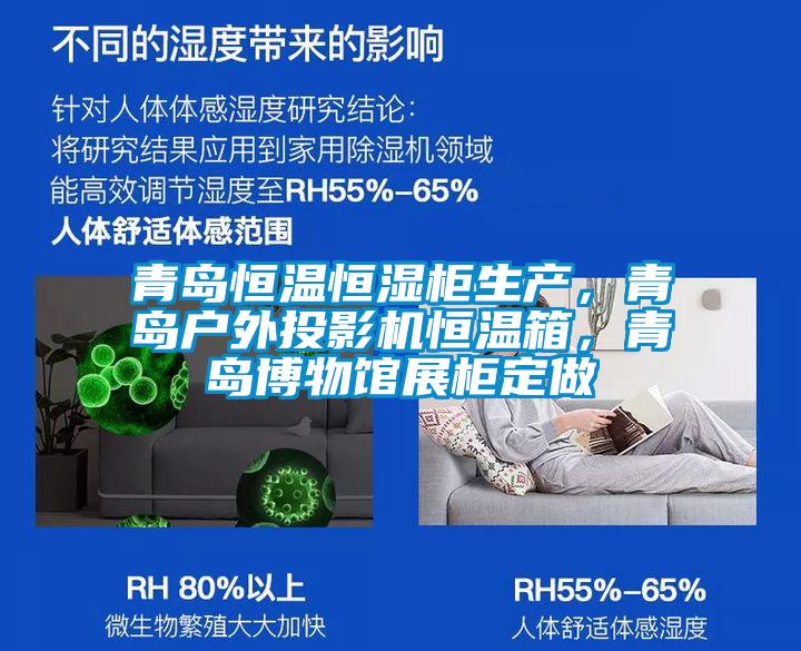 青岛恒温恒湿柜生产，青岛户外投影机恒温箱，青岛博物馆展柜定做