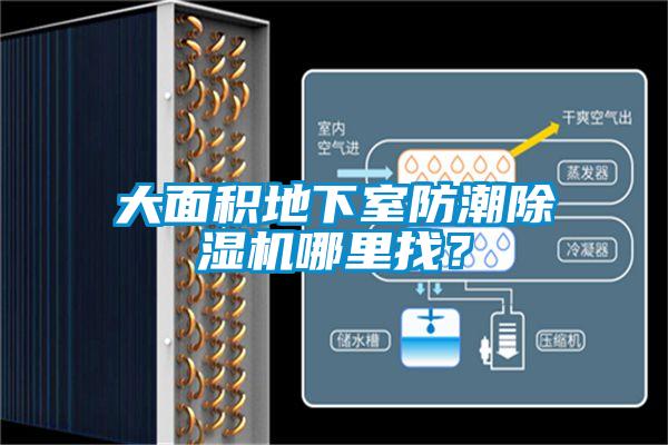 大面积地下室防潮除湿机哪里找？