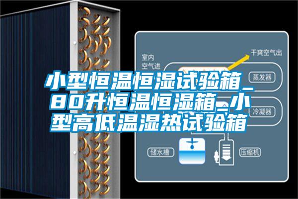 小型恒温恒湿试验箱_80升恒温恒湿箱_小型高低温湿热试验箱