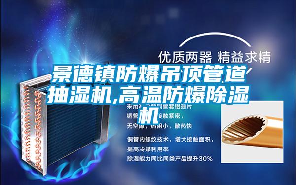 景德镇防爆吊顶管道抽湿机,高温防爆除湿机
