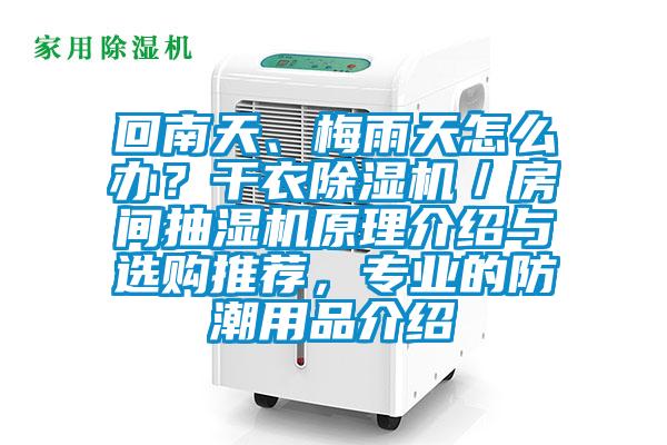 回南天、梅雨天怎么办？干衣除湿机／房间抽湿机原理介绍与选购推荐，专业的防潮用品介绍