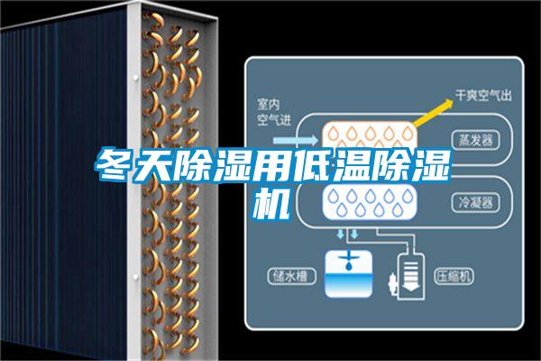 冬天除湿用低温除湿机