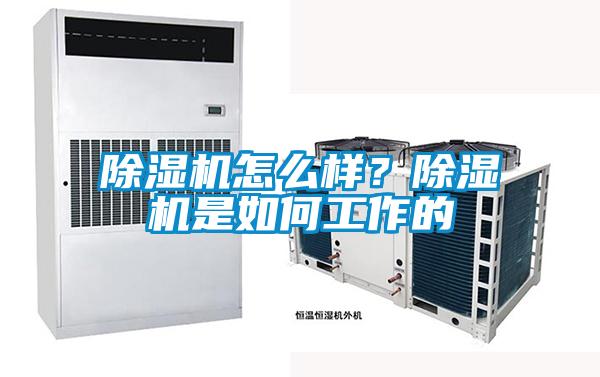 除湿机怎么样？除湿机是如何工作的