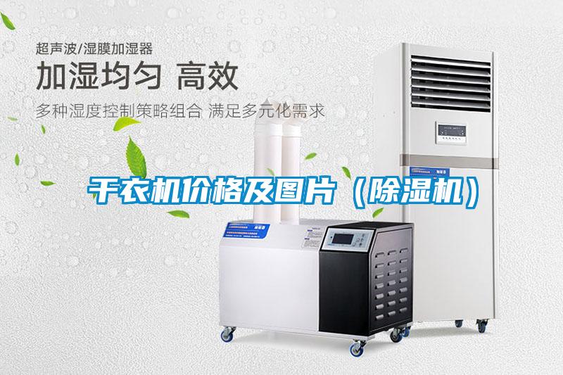 干衣机价格及图片（除湿机）