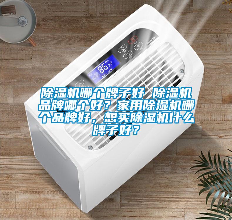除濕機哪個牌子好 除濕機品牌哪個好？家用除濕機哪個品牌好，想買除濕機什么牌子好？