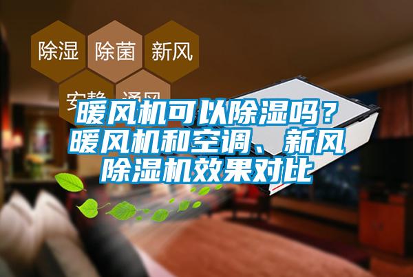 暖风机可以除湿吗？暖风机和空调、新风除湿机效果对比