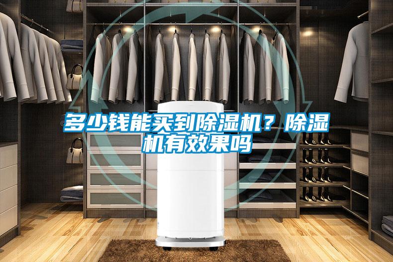 多少钱能买到除湿机？除湿机有效果吗