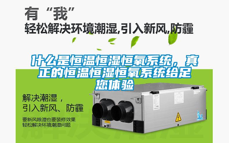 什么是恒溫恒濕恒氧系統(tǒng)，真正的恒溫恒濕恒氧系統(tǒng)給足您體驗(yàn)