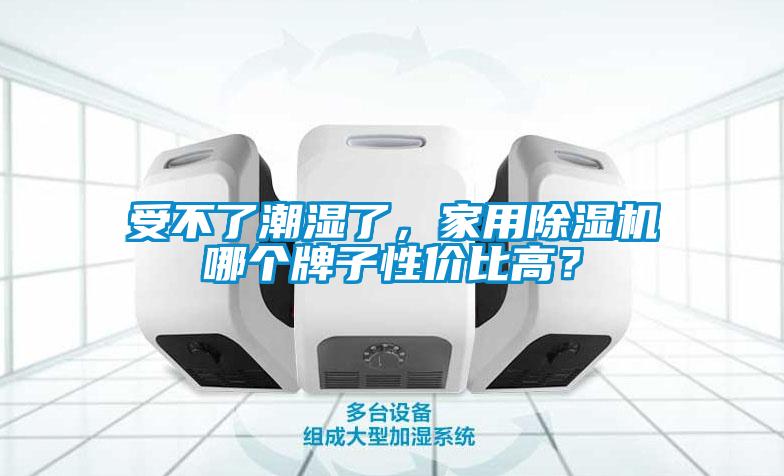 受不了潮湿了，家用除湿机哪个牌子性价比高？
