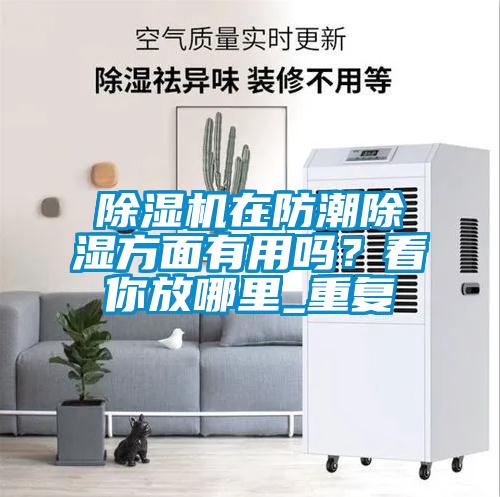 除湿机在防潮除湿方面有用吗？看你放哪里_重复