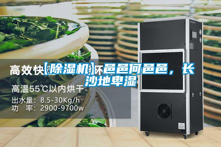 【除湿机】邑邑何邑邑，长沙地卑湿