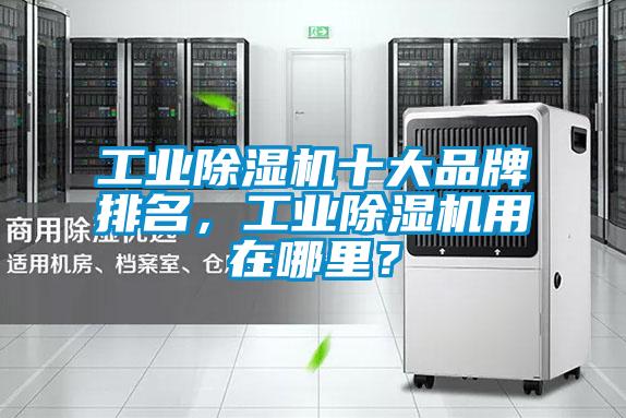 工业除湿机十大品牌排名，工业除湿机用在哪里？