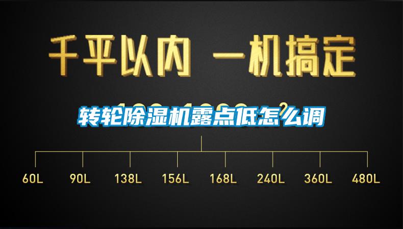 转轮除湿机露点低怎么调