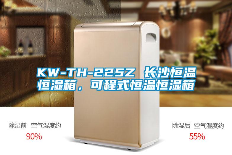 KW-TH-225Z 长沙恒温恒湿箱，可程式恒温恒湿箱