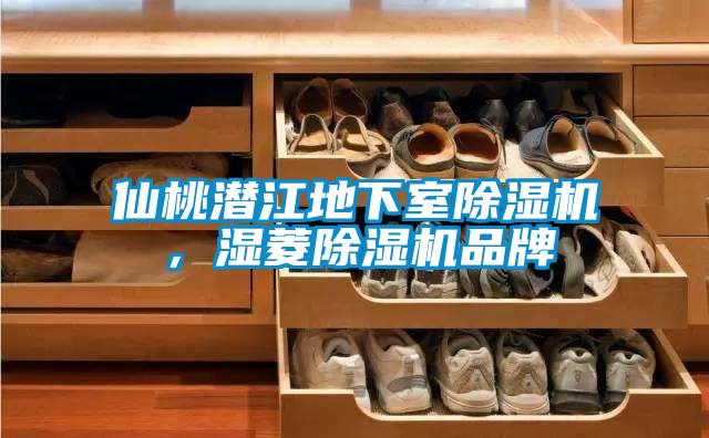 仙桃潜江地下室除湿机，湿菱除湿机品牌
