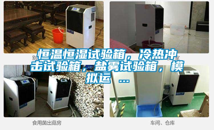 恒温恒湿试验箱，冷热冲击试验箱，盐雾试验箱，模拟运 ...
