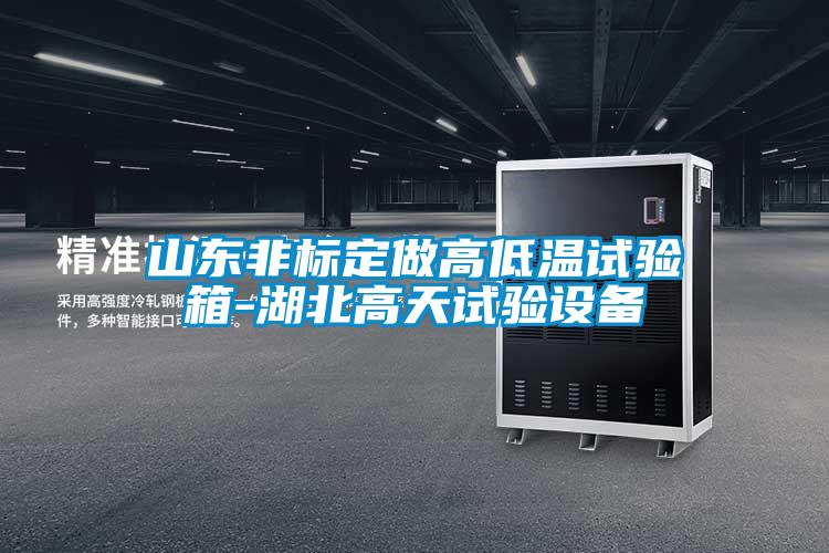 山东非标定做高低温试验箱-湖北高天试验设备