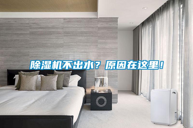 除湿机不出水？原因在这里！