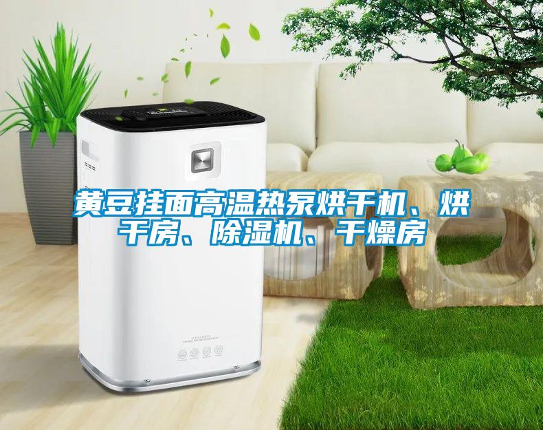 黄豆挂面高温热泵烘干机、烘干房、除湿机、干燥房