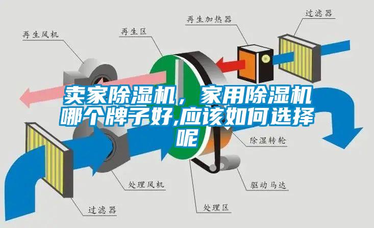 卖家除湿机，家用除湿机哪个牌子好,应该如何选择呢