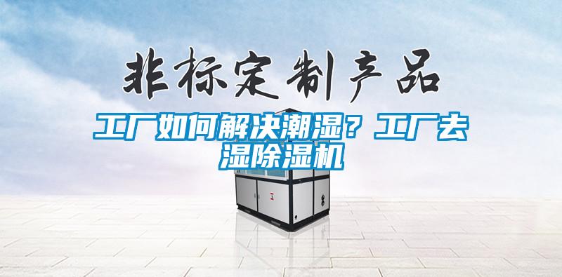 工厂如何解决潮湿？工厂去湿除湿机