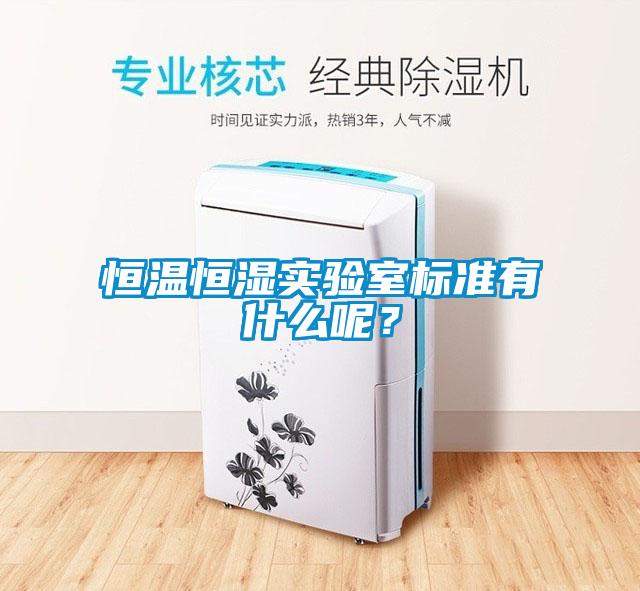 恒温恒湿实验室标准有什么呢？